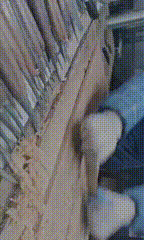 手艺|奉贤头桥：“上海家具之乡”的大道匠心