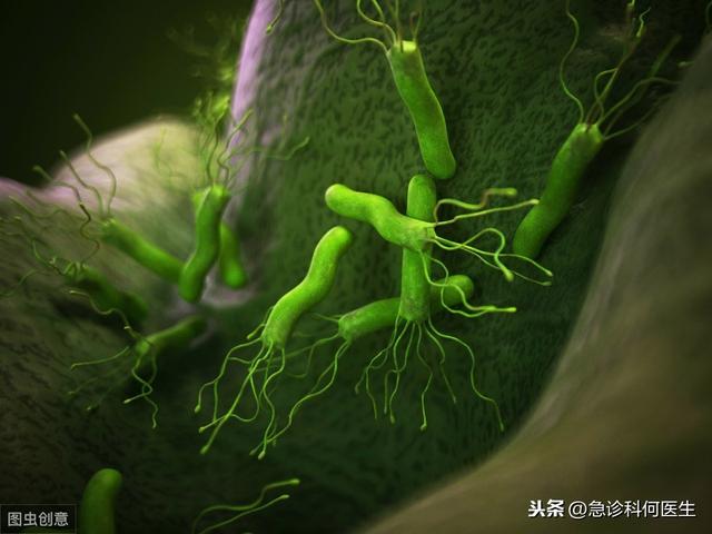 [你的育儿经]3岁小孩感染幽门螺杆菌，只因长辈一个陋习，预防感染，牢记4要点