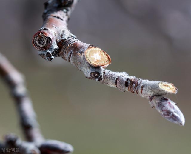 我家的花草，被这10个小动作拯救了，件件简单，但非常实用