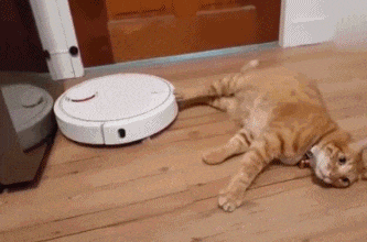 扫地机器人好用吗？是否选对是关键