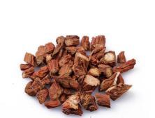 丹参|中药半月谈丨丹参