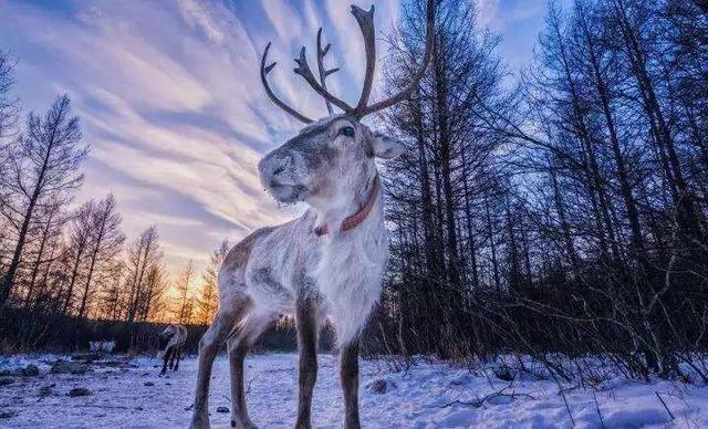 [世界那么大]有一种旅行，叫做在路上