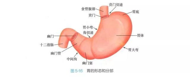 超级宝妈：儿科医生手记：三个月大的宝宝，因为异常吐奶差点丢了命
