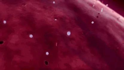 细胞|“母子连心”、“无师自通”原来竟与它有关