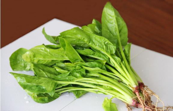 超级宝妈：金牌月嫂：宝宝1岁前，3种辅食不能吃，牢记3原则，孩子生病少