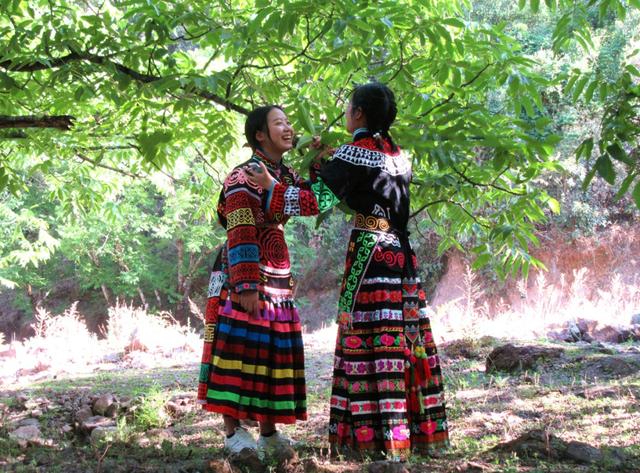 【世界那么大】走进大姚桂花镇 体味满满的原生态彝家生活