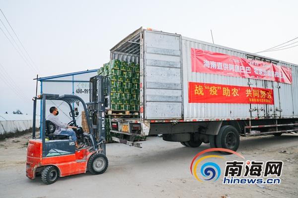 南海网■“直播带货”怎么玩？海南电商告诉你
