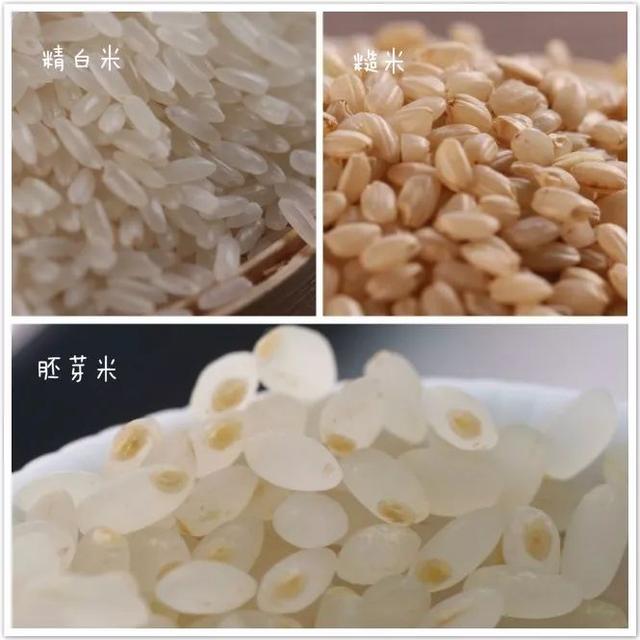 「你的育儿经」宝宝辅食，每一口都要精细