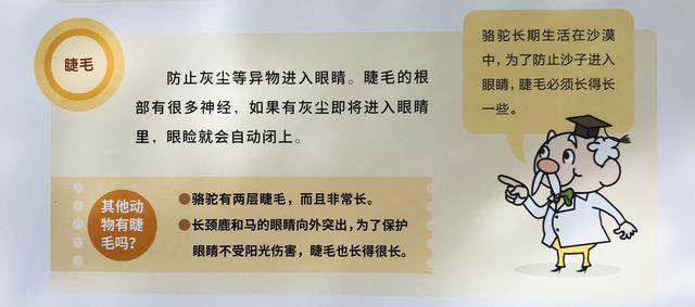 【超级宝妈】为啥近视看不清，为啥非要做眼操？关于眼睛的奥秘都在这里