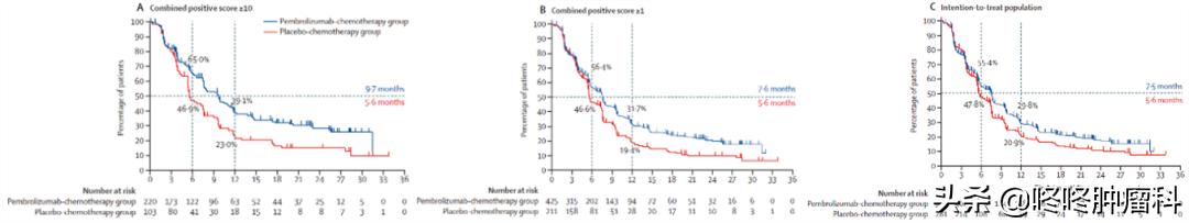 免疫前沿：K药突破乳腺/结肠癌瓶颈；癌症疫苗显疗效，未来可期