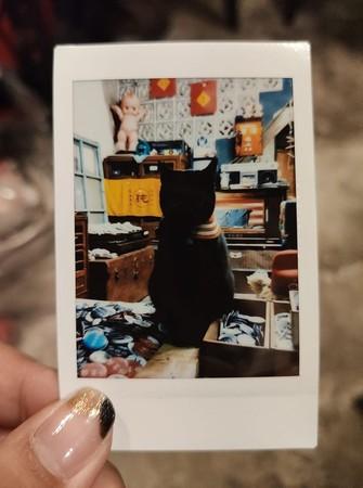 帮猫拍网美照　底片惊现一团黑影|电影工厂