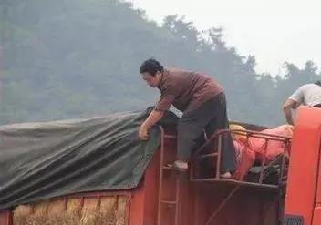 很多人都中招了！路遇障碍物，这样做才最安全