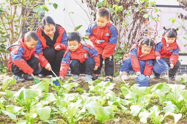 江陵县：小朋友打理“开心农场”