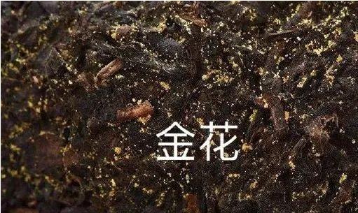 如何健康喝茶？六种茶的功能都在这里