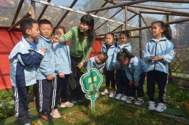 幼儿园|小手呵护青青苗，幼儿乐享“种植园”