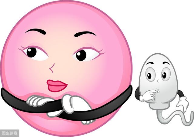 【你的育儿经】迎娶卵子小姐姐，精子小哥需要奋斗90天