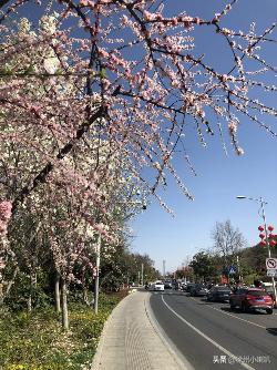 趣旅游■我市的这些景区开放啦！春暖花开的季节一起拥抱大自然