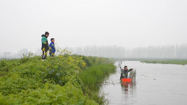 买菜|又到一年吃虾季，荔枝、白兰地、螺蛳粉口味的小龙虾，你吃过吗？