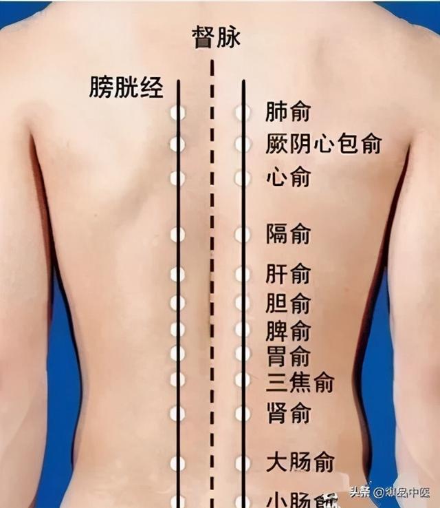 背部摸穴诊病（手法医学工作者常用的方法）