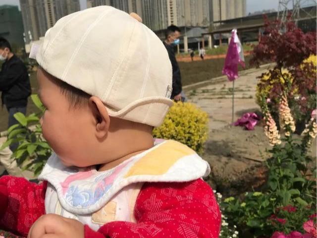 「你的育儿经」随记——不是所有的奶都能追成功的