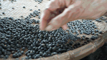 大雪前，多吃这食材！蛋白质比牛奶高，口感细腻绵软，吃不腻