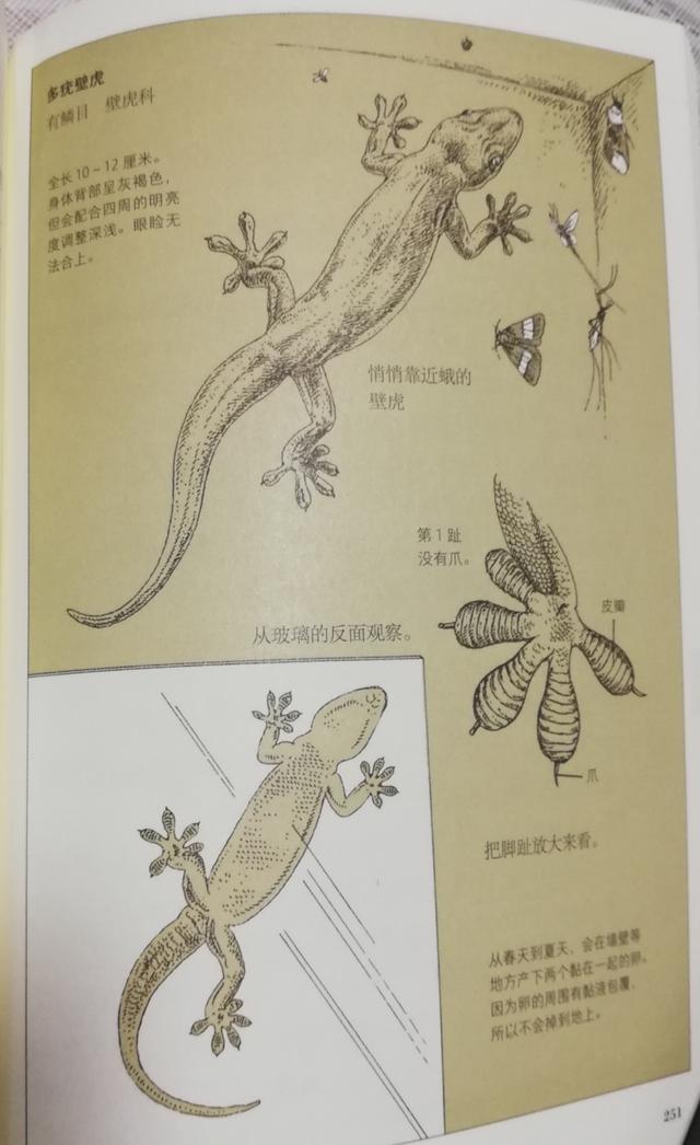 超级宝妈@开启孩子丰富的感官，捕捉世间无处不在的趣味