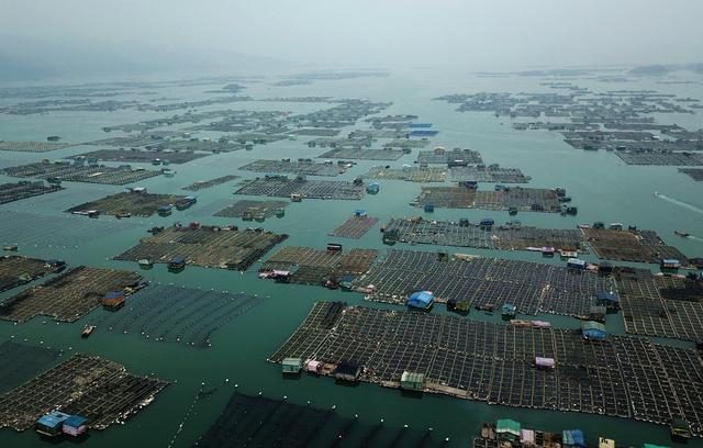 『世界那么大』春天踏青的好去处，这几个地方不妨去看看