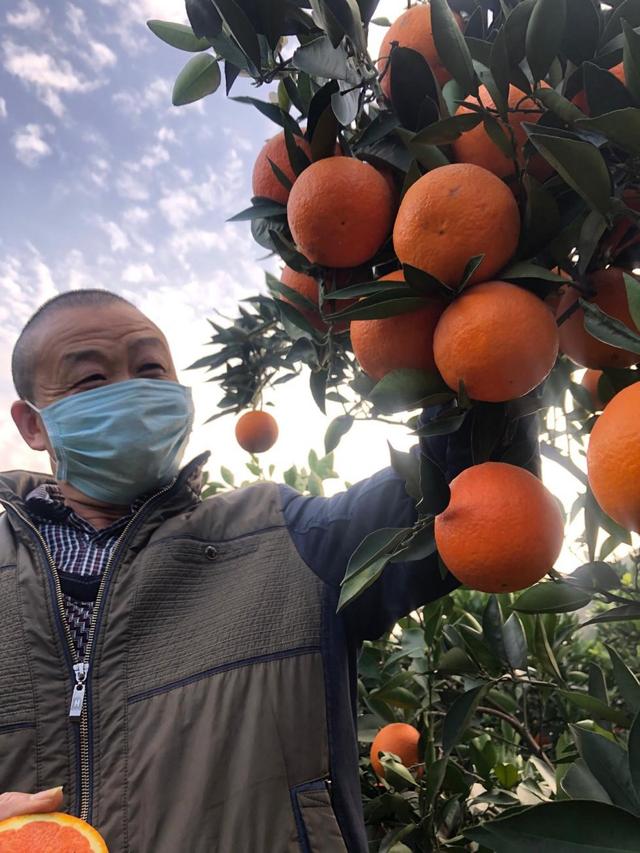 「多彩贵州网」湖北，淘宝承包了你120万吨农产品的销售