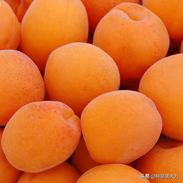 #你的育儿经#忽冷忽热的春天，多给孩子吃这四种水果，增强抵抗力又防“春燥”