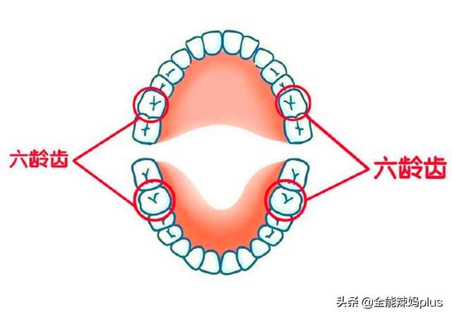 「超级宝妈」孩子换牙期要注意4大问题，否则影响颜值和健康，越早知道越好