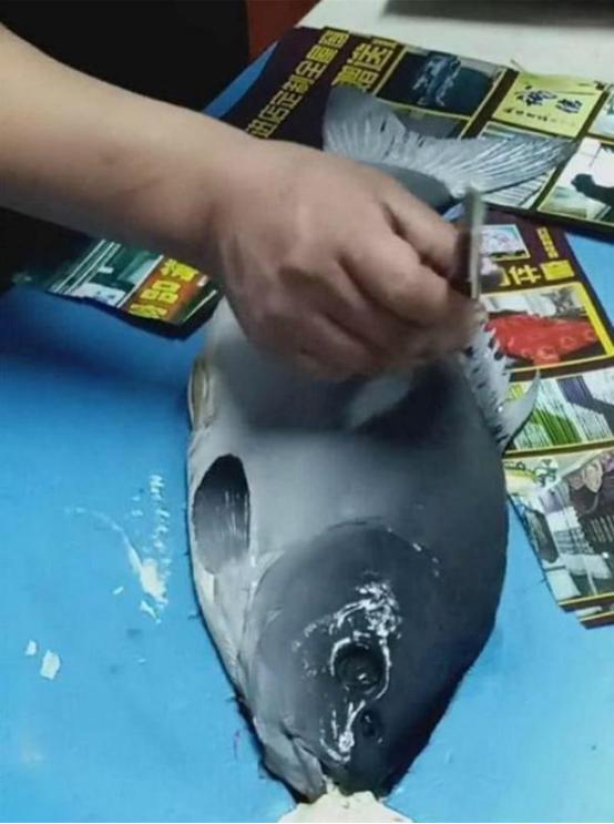 你的育儿经|幼儿园让孩子“画鱼”，爷爷帮孙子“作弊”，网友：想要同款爷爷