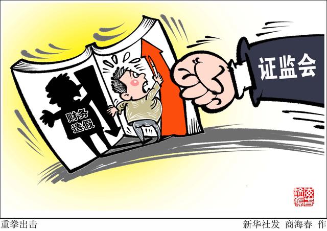 违法|［财经·观察］重拳出击