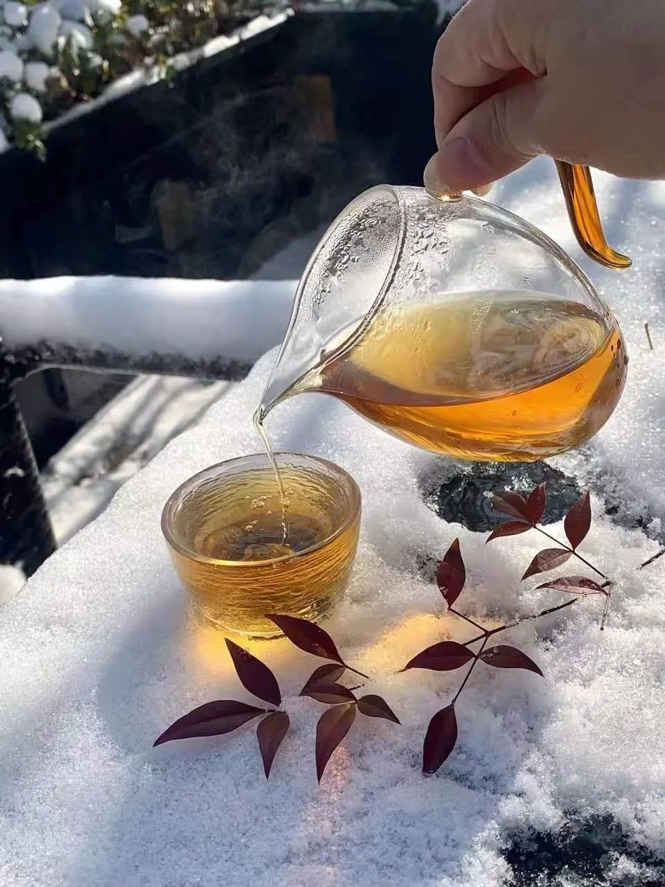 白居易|听雪烹茶，尽享人间好时光