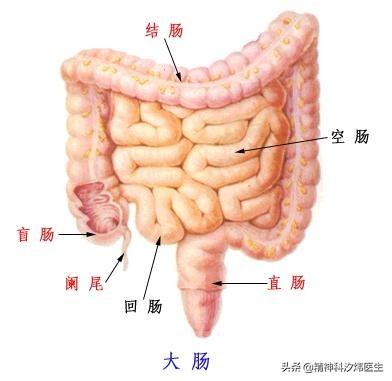 医生提醒：坚持做好这些事情，肠癌患病率至少减半