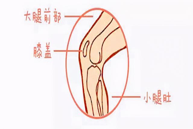 “妈妈，我腿疼”别以为是孩子在撒娇，可能是生长痛的缘故要重视