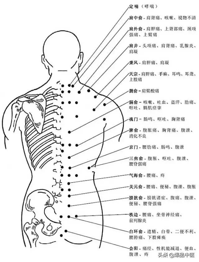 全身穴位治疗口诀大全，配图精华版