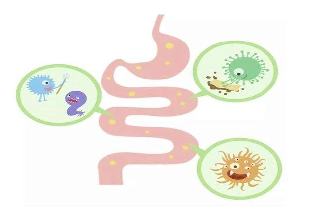 你的育儿经|宝宝经常出现便秘、腹泻不要怕，5点是关键，学会这样应对帮大忙