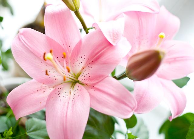 Be helpful to others regularly, and someone will help you when needed.