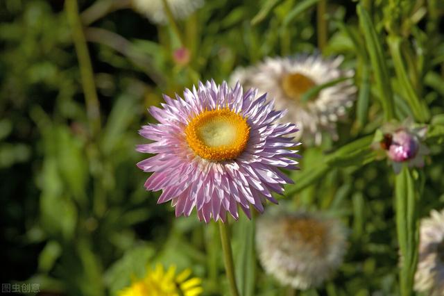 58岁女人坦言：做到这几点，就能避免更年期的不良反应