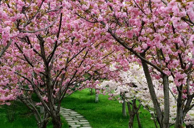 「陌路远行」黄河小浪底水利枢纽风景区恢复开放