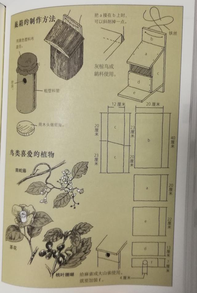 超级宝妈@开启孩子丰富的感官，捕捉世间无处不在的趣味