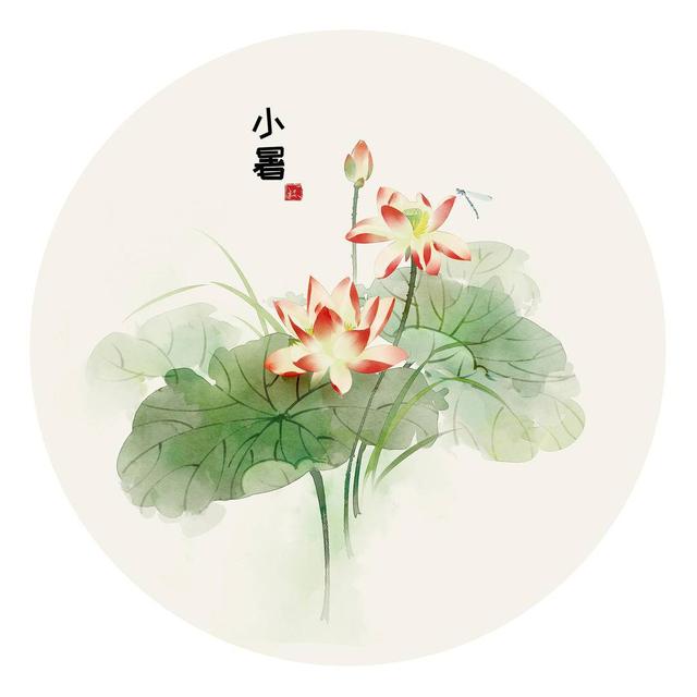 西瓜|阿健节气养生小课堂?小暑养生莫贪凉，冷饮有度更健康
