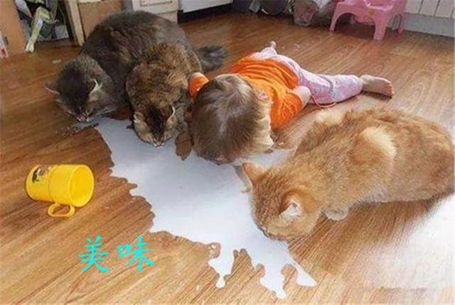 [你的育儿经]熊孩子“作妖”现场合集，宝妈很有代入感，背后原因需了解