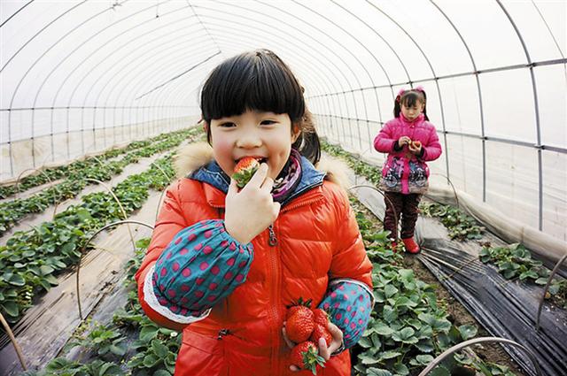 医生建议：这4种水果含有大量“寄生虫”，再馋也少给孩子吃