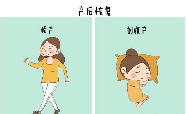 「超级宝妈」六张图告诉你顺产和剖腹产的区别, 太形象了