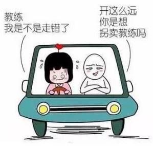 机器人教开车，你见过吗？就发生在上虞