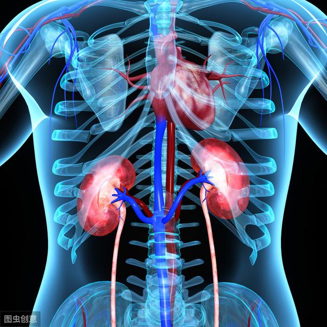 『健康零距离』肾病治疗是场“持久战”，不想太早与肾衰竭碰面，注意这3点