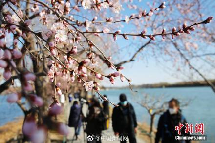 『光明网』北京公园游客量近一个月呈明显上升趋势