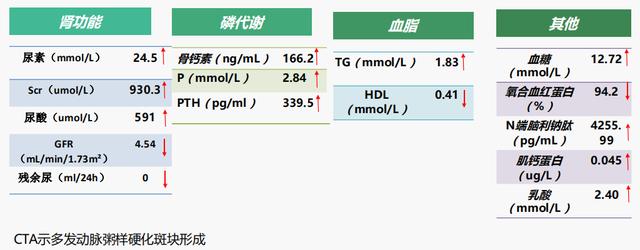 卓尔不凡 例例生辉丨透析贫血优秀病例分享2例