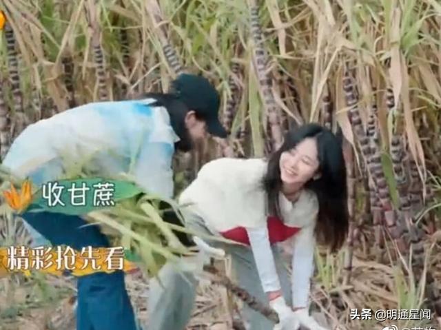 《向往的生活》张子枫迎来好友，不是谭松韵，居然是星二代的他？|电影工厂